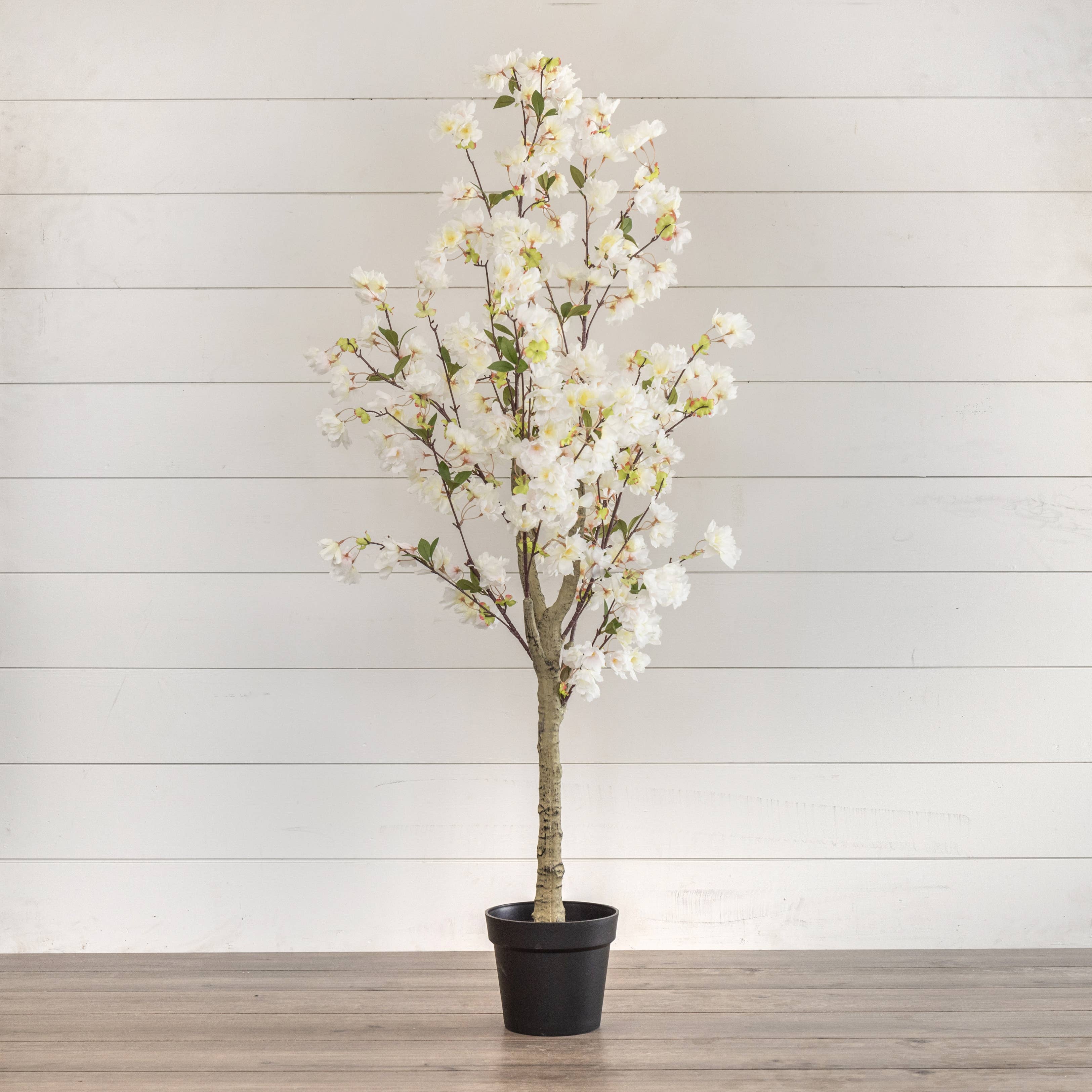 Ragon House - Wholesale Artificial Plant - 5.25'  WHITE  CHERRY TREE1