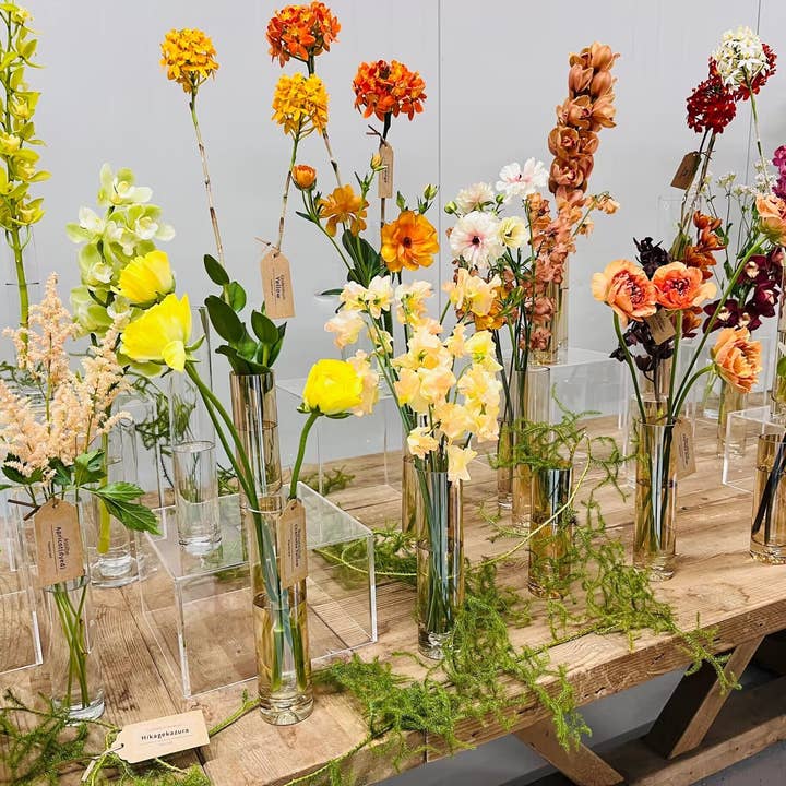 Sweet Home Deco – wholesale Vas – 8/10/12 tums hög glascylindervas mittstycken i bärnsten2