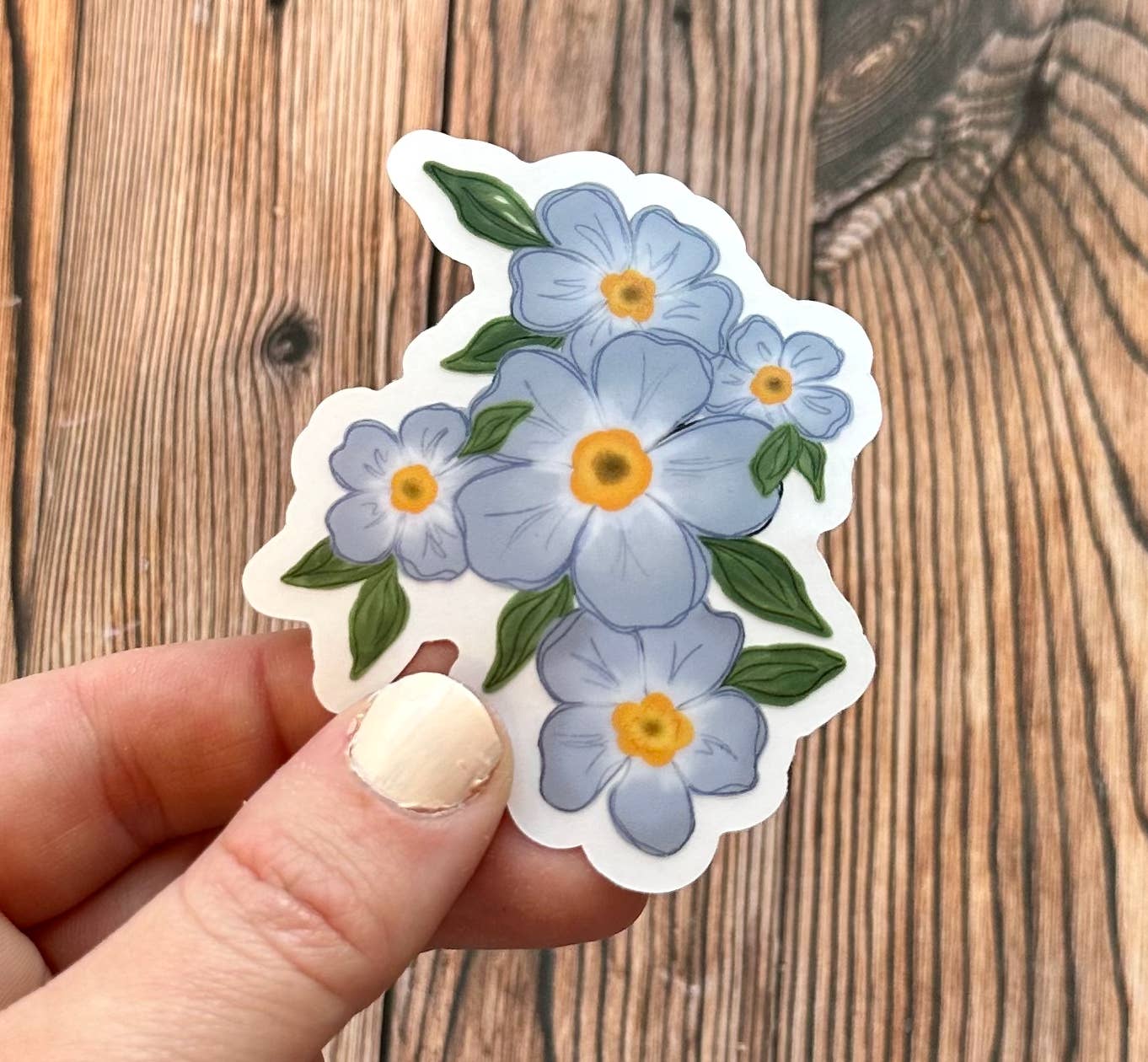 The Rooted Lupine – Großhandel Aufkleber – Vergissmein-nicht Aufkleber