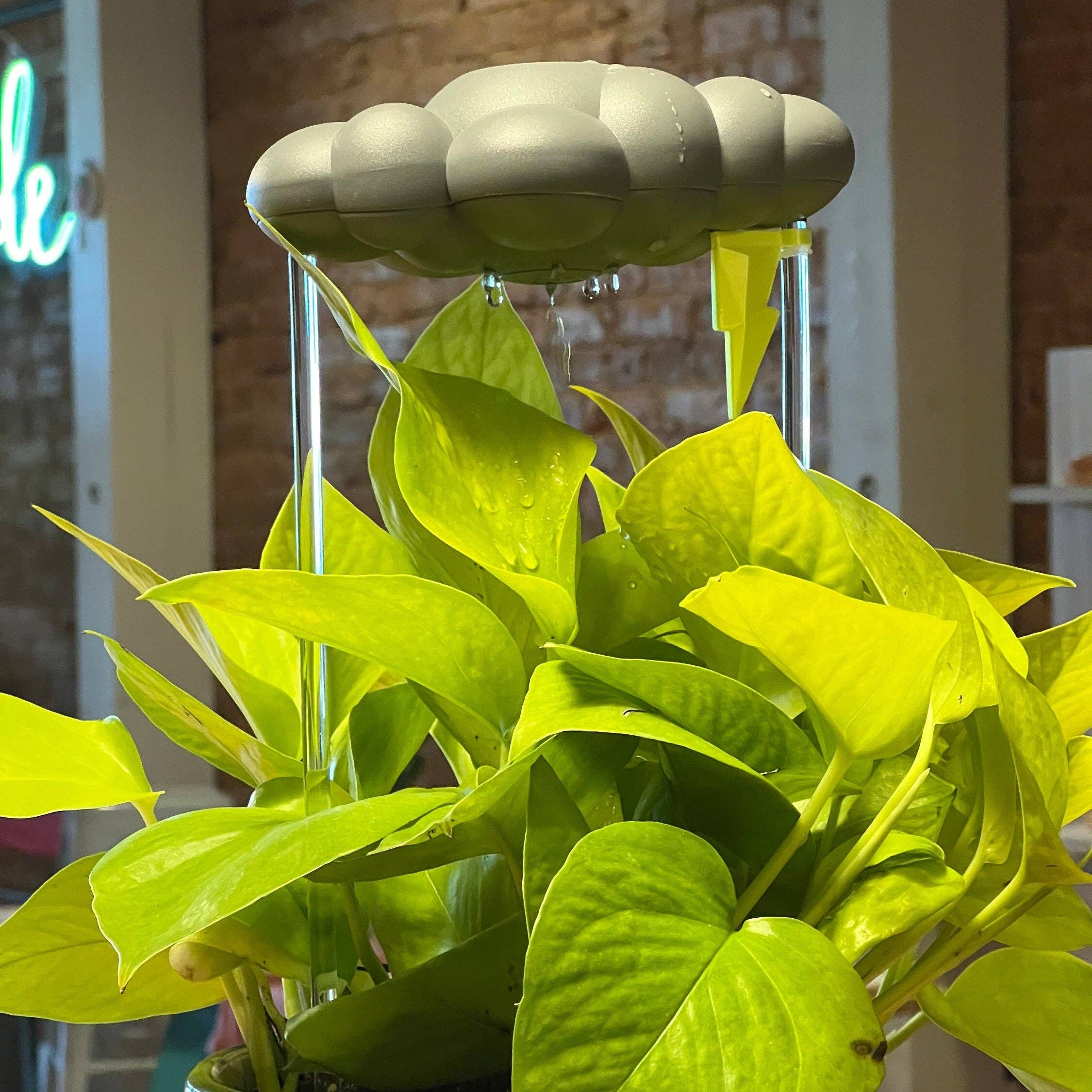 The Cloud Makers – Engroshandel Plantekrukke – Neon Lightning Bolt Charm til dryppende regnskyer 8