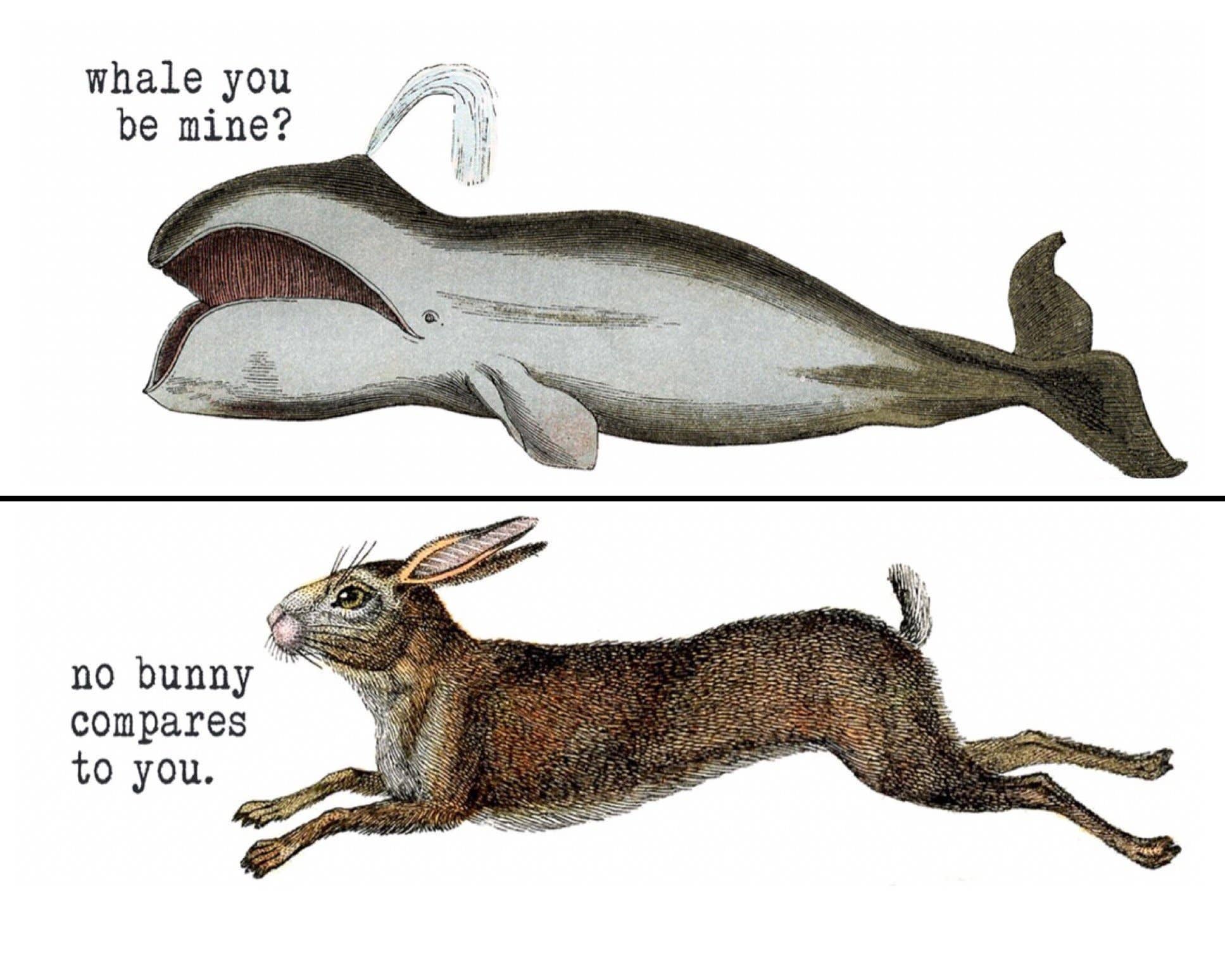 Love Letters - Venta al por mayor Taza - Taza de San Valentín «No Bunny Compares to You»1