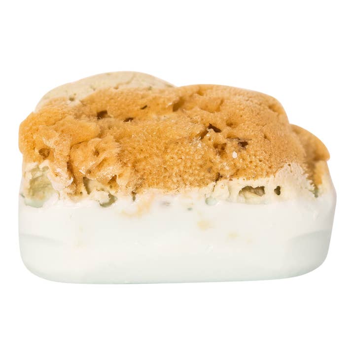 Bath & Body Fusion - Wholesale Bar Soap - Goat's Milk Soap w/ Sea Sponge8