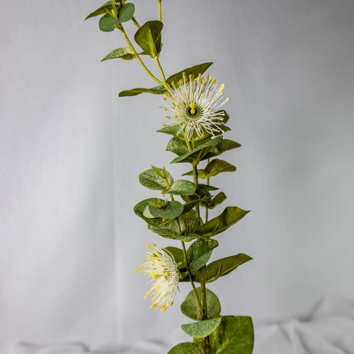 Realistic Artificial Flowers - Wholesale Artificial flowers - White Flowering Gum Blossom1