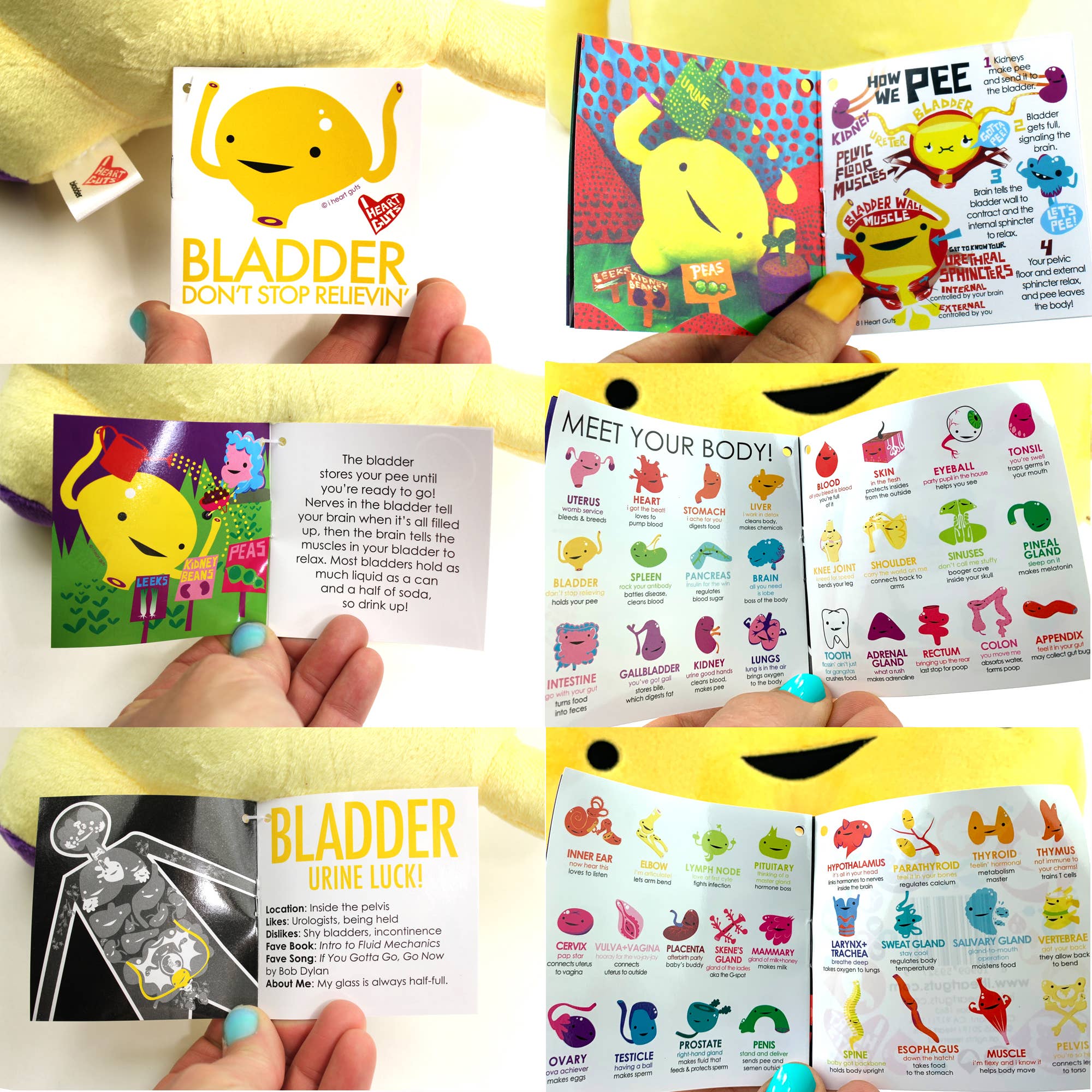 I Heart Guts | Organ Plushies Wholesale - Wholesale Stuffed/Plush Toy - Kids & Baby - Bladder Plush - Don't Stop Relievin'3