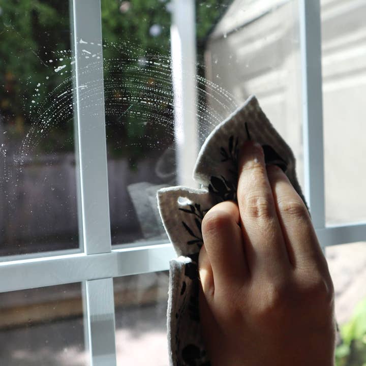 Plantish - Wholesale All-Purpose Cleaning Spray - Zesty Clean - Power Paste1