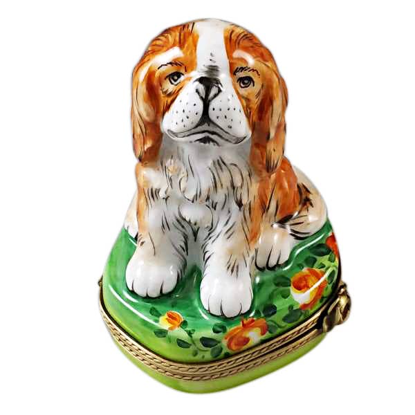 King Charles Spaniel for wholesale by Rochard