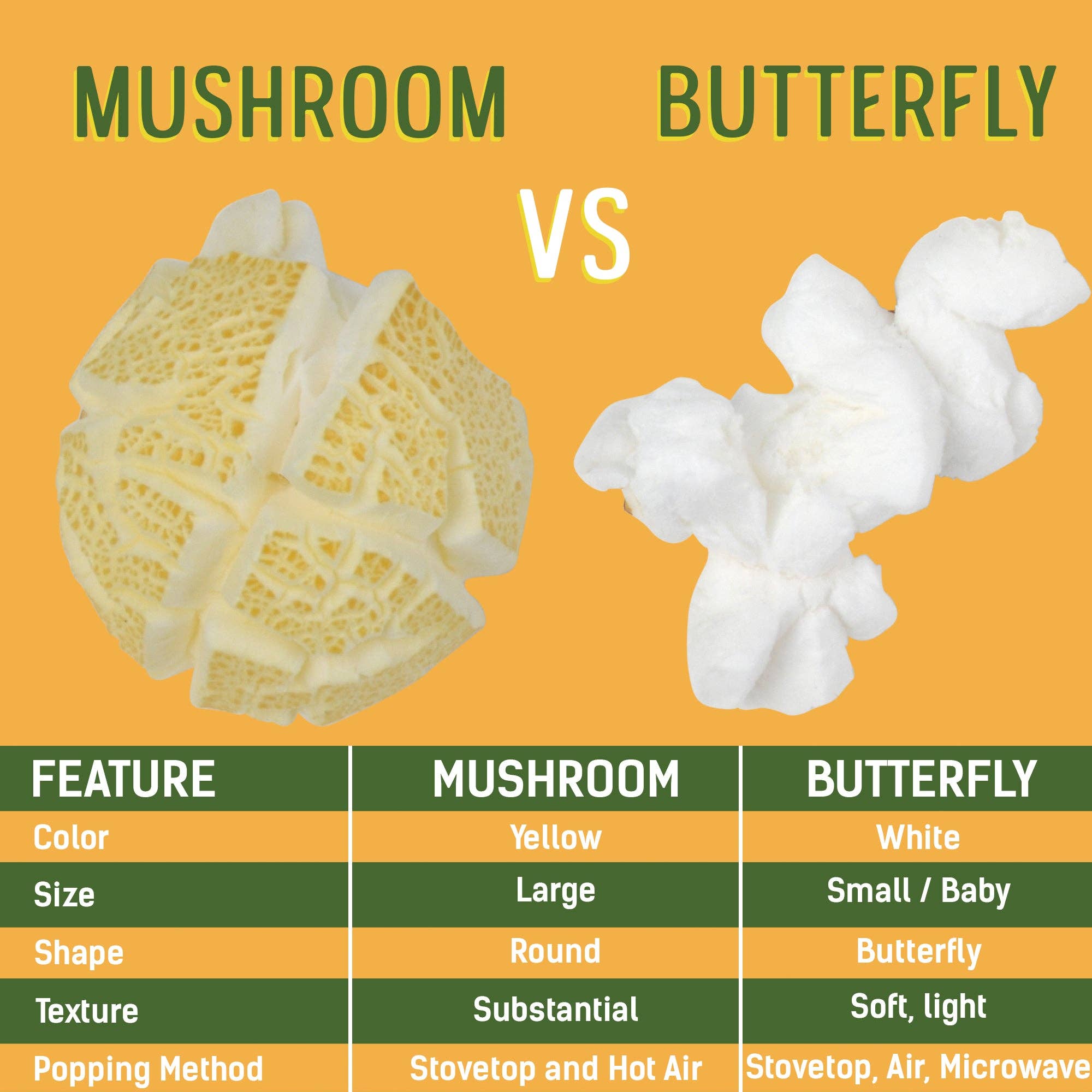 Princeton Popcorn Company, LLC – Engroshandel Popcornkerner – 2lb pose Princeton Popcorn store gule popcornkerner, luftige og store, ikke-GMO, skrogfri, direkte fra landmanden, glutenfri til popning, ideel til oliepopcornmaskine, mikrobølgepopcorn eller luftpopper.5