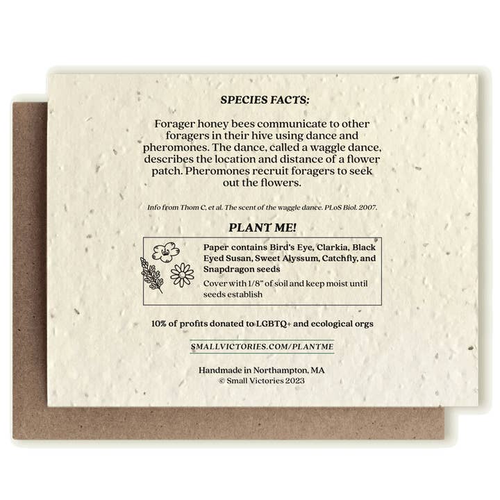 Small Victories - Wholesale Everyday Greeting Card - Honey Bee Plantable Wildflower Seed Card1