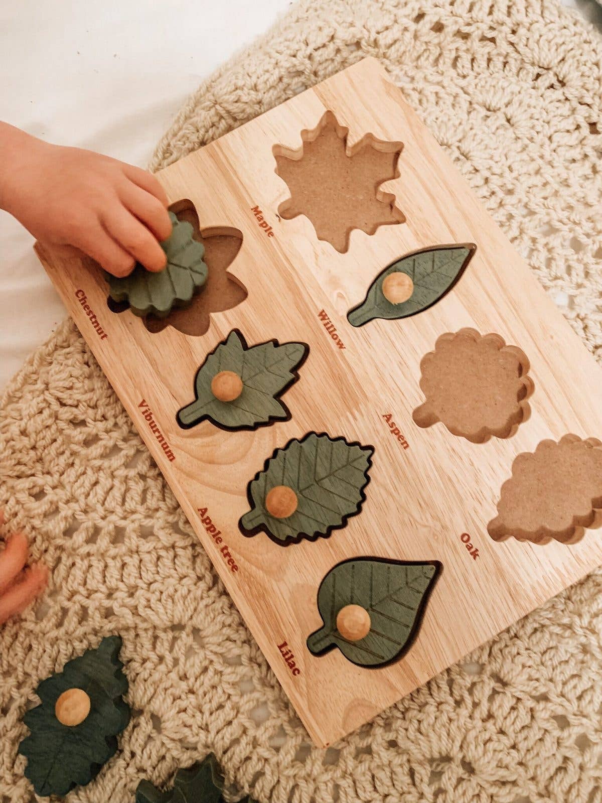 QToysUSA – Engroshandel Puslespil - Børn – Montessori Leaf Puslespil1