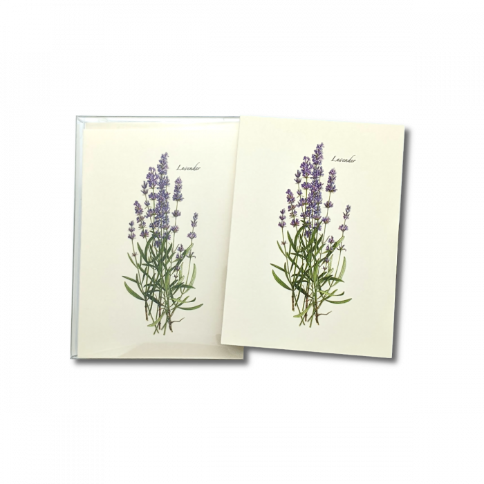 Earth Sky + Water - Wholesale Everyday Greeting Card - Lavender2