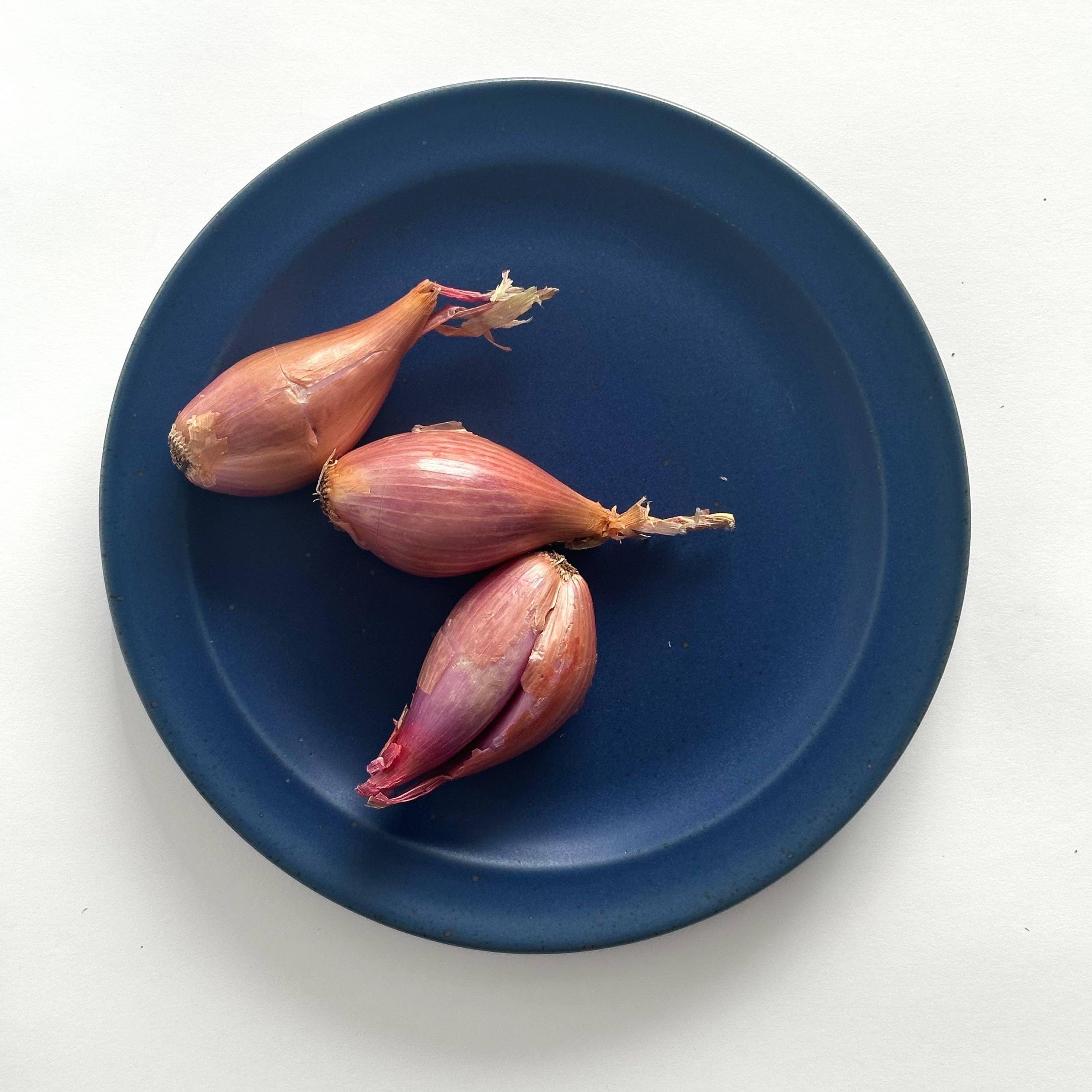 Sarah Kersten - Vente Assiette - Assiette à déjeuner : Collection classique14