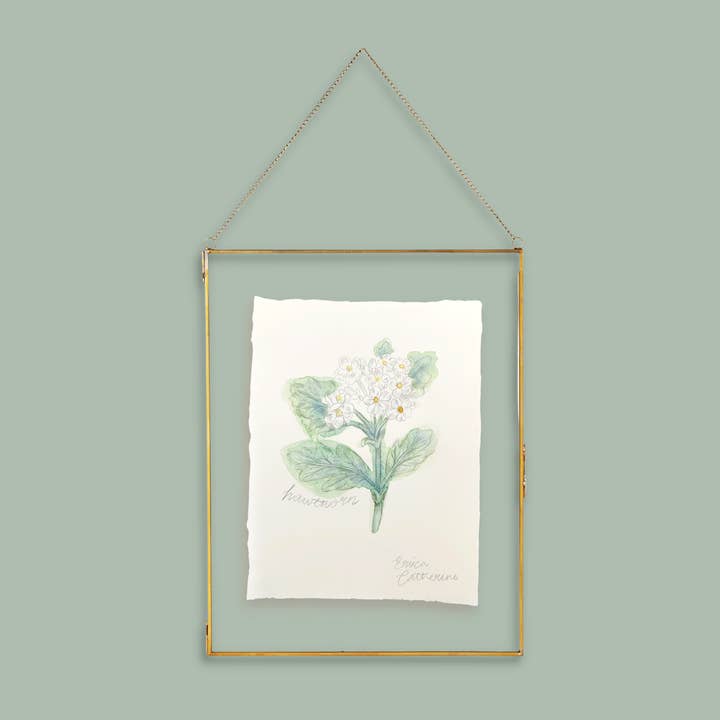 May Birth Flower - Hawthorn Mini Original Drawing for wholesale by Erica Catherine Illustration