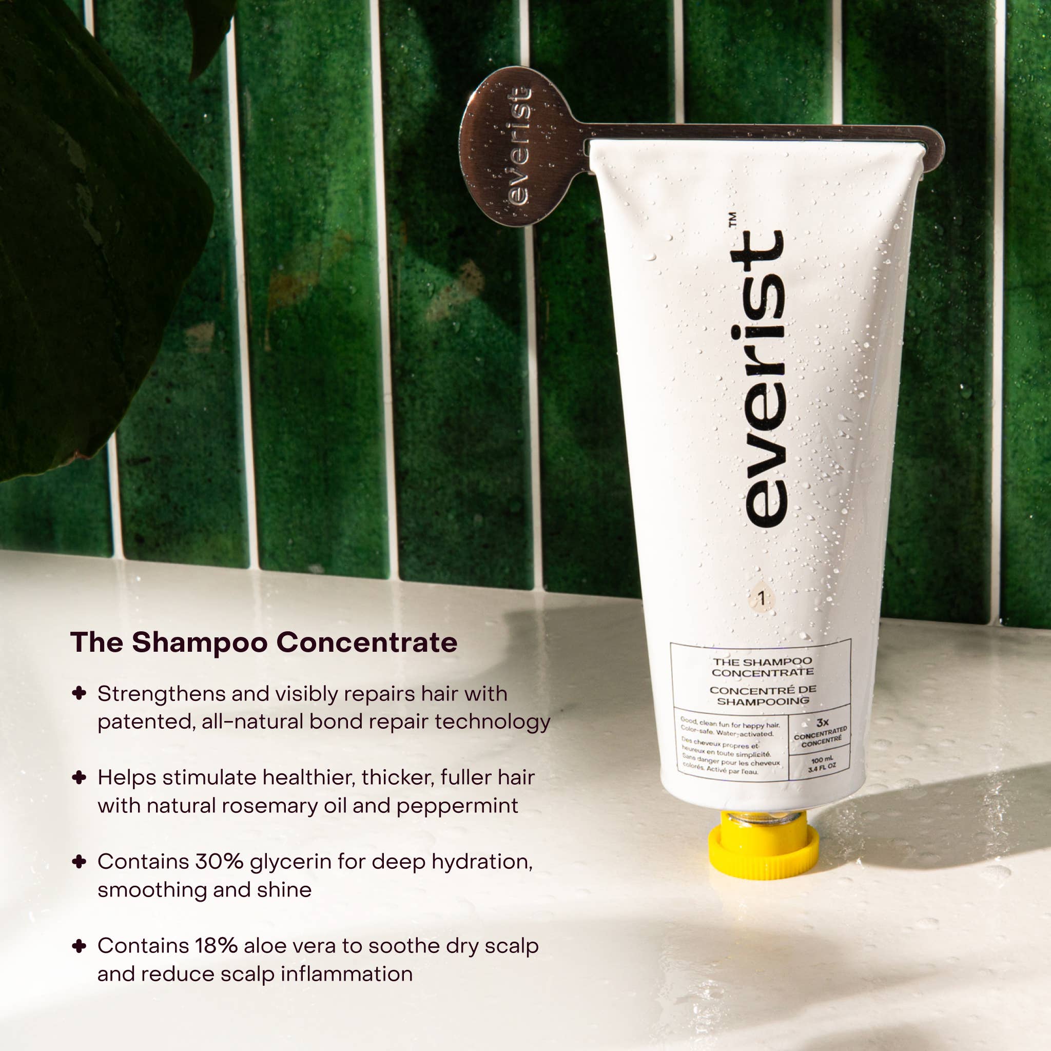 Everist - Wholesale Hair Shampoo - The Shampoo Concentrate7