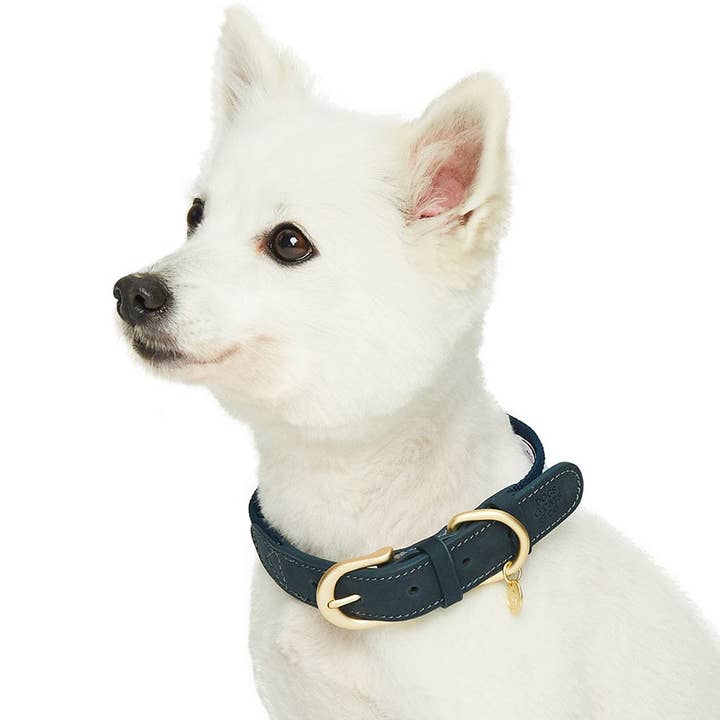 Blueberry Pet - Wholesale Pet collar – Dog - Dogs & Cats & Co. A la Mode Leather Dog Collar17