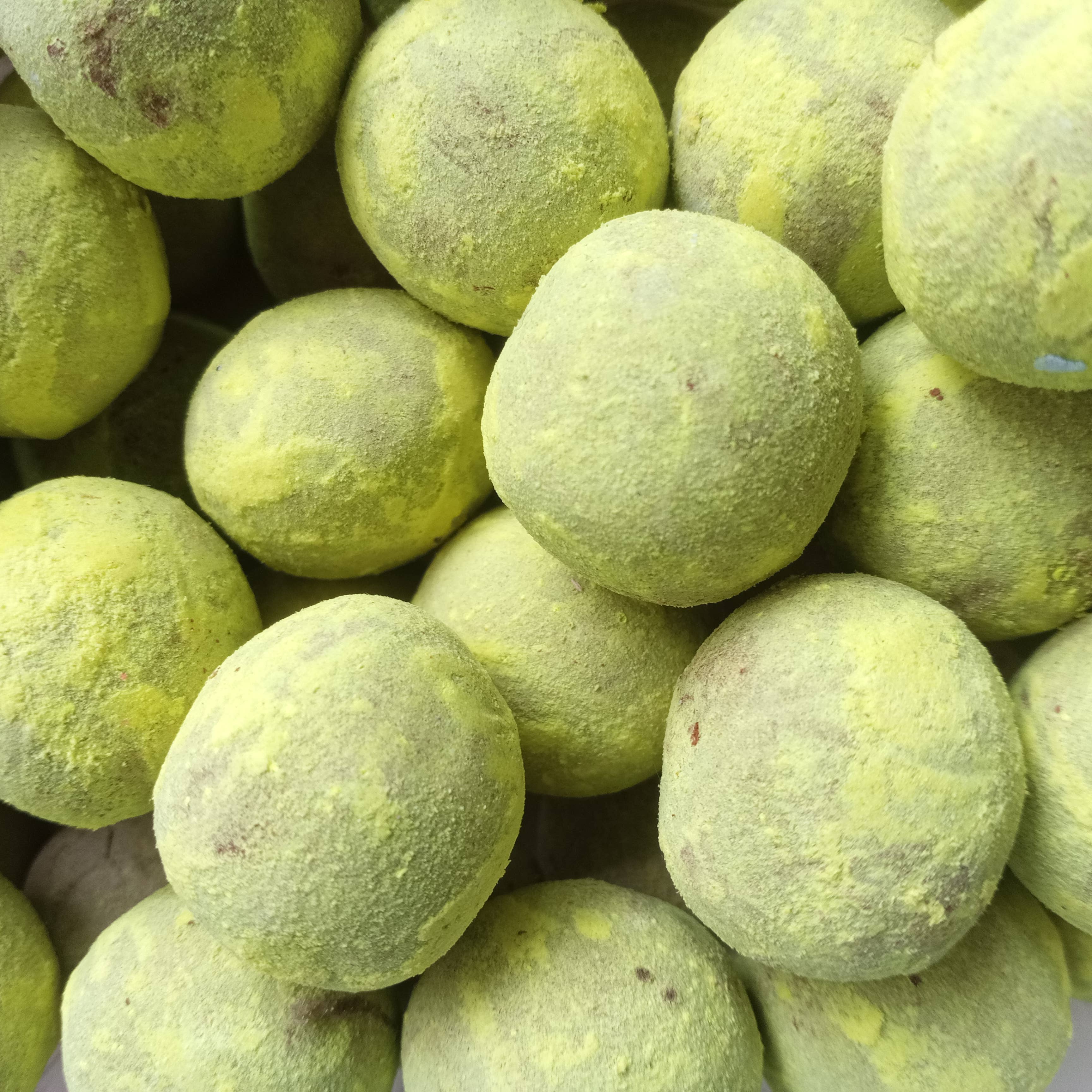 Sementes de Portugal - Wholesale Plant Seeds - Seed Pumps3