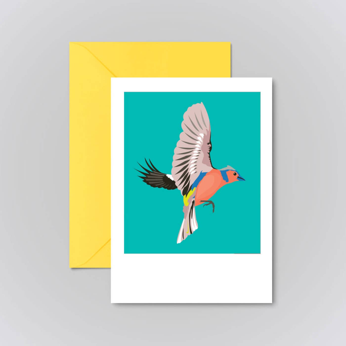 Pawpear - Vendita all'ingrosso Biglietti di auguri generici - Biglietto d'auguri Chaffinch0