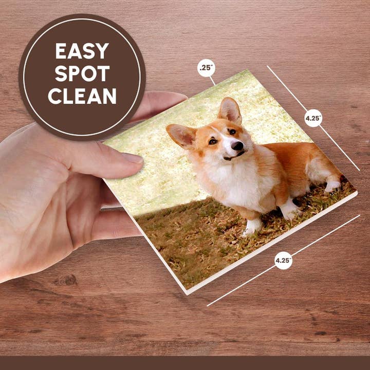 3dRose - Wholesale Coasters - 3dRose, Pembroke Welsh Corgi, Coaster6