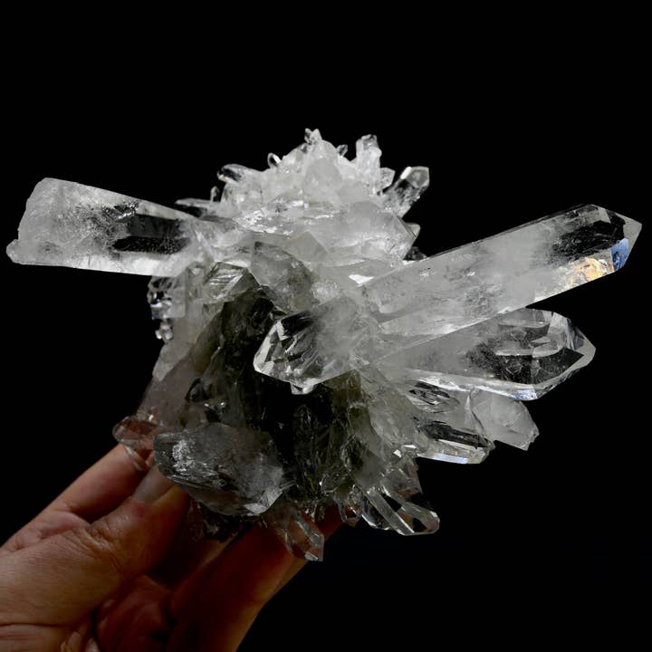 Caspar Curiosities - Wholesale Spiritual Stone/Crystal - 5.9in 1.3lb Cosmic Starburst Record Keeper Lemurian Silver Quartz Chlorite Crystal Cluster Starbrary Optical Corinto, Brazil1