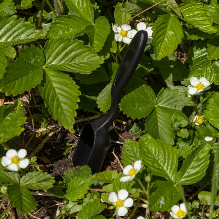 Robert Frederick Ltd – wholesale Garden tool – Gentleman’s Emporium Thyme To Garden Gift Set4