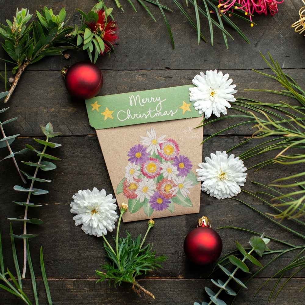 Sow 'n Sow - Wholesale Christmas Card - Christmas Native Daisies Gift of Seeds (Australia Only)2