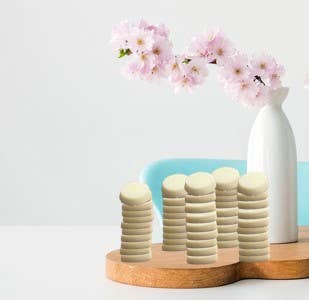 La Fabrique Des Lutins - Wholesale Wax Melt - Pack of 80 wax pebbles Frais des Bois in bulk0