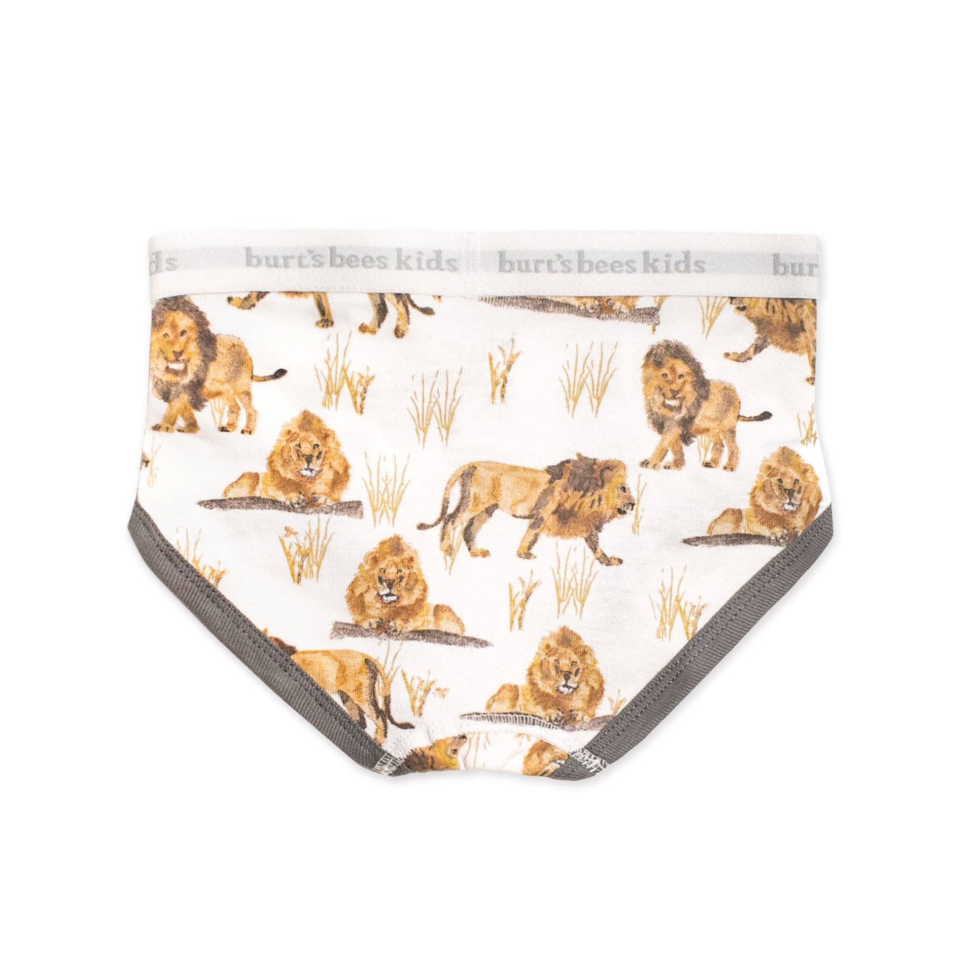 Boys Set of 5 Happy Herbivores & Lions Underwear for wholesale on Faire1