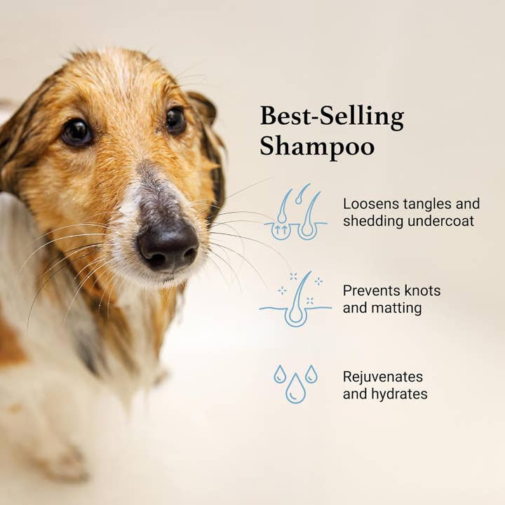 iGroom - Wholesale Pet Shampoo - Dog - Deshedding + Detangling Shampoo 16oz