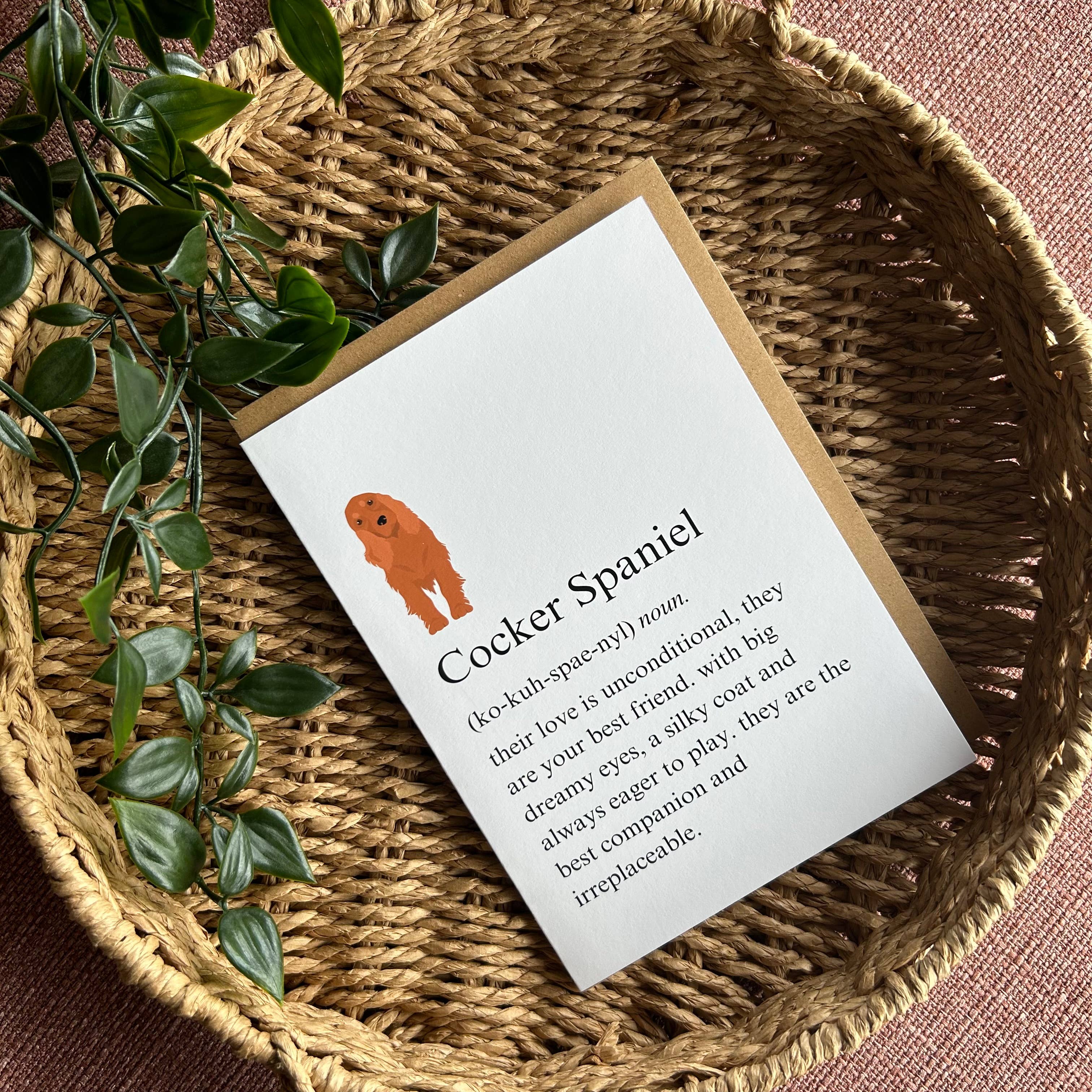 Swale Studios – wholesale Everyday greeting card – Cocker Spaniel Definition Greeting Card1