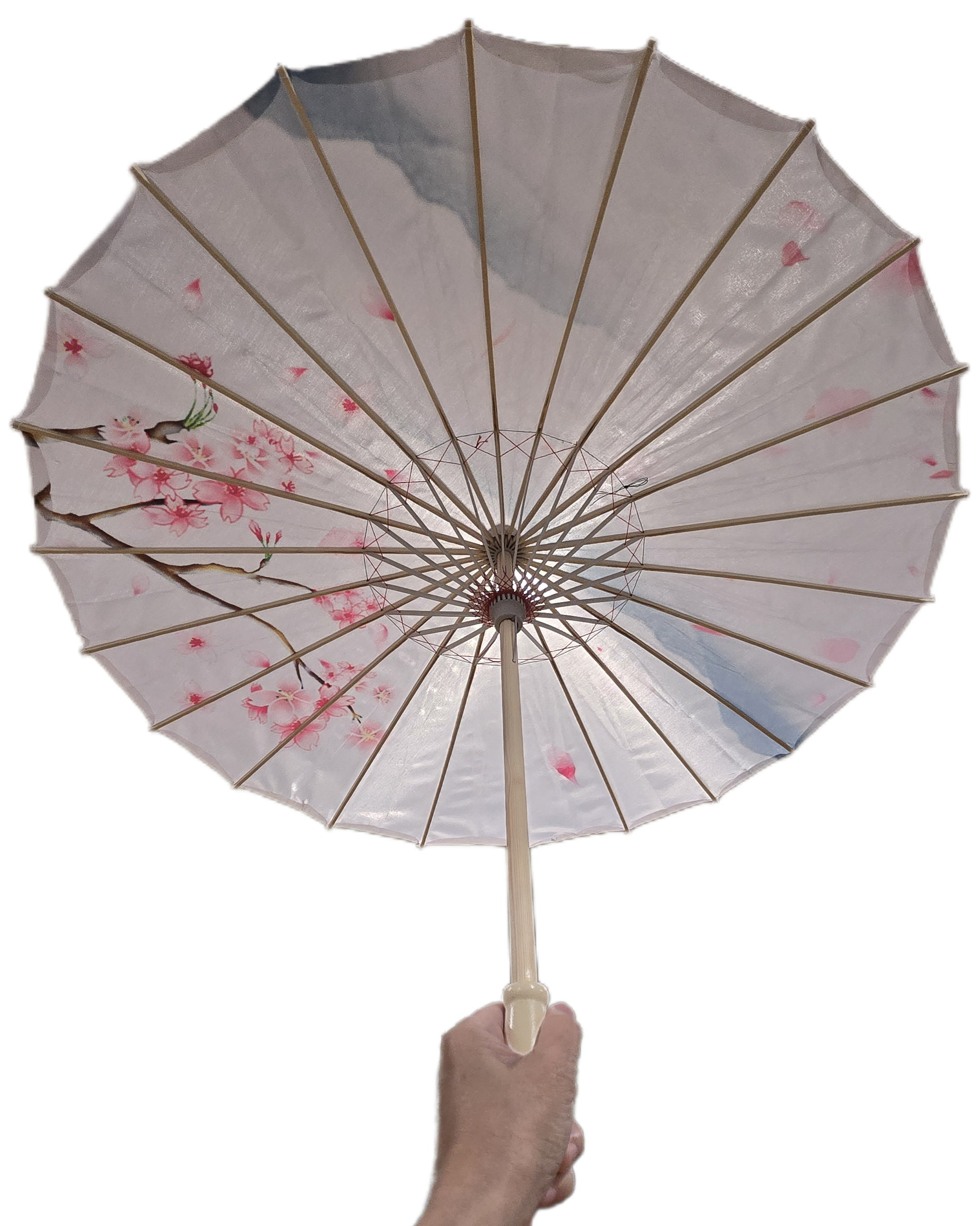 Fiona Accessories - Venta al por mayor Ventilador plegable de mano - Parasol de Flor de Cerezo Sakura 3 Estilos 21.50"5