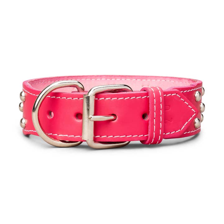 TOP DOG BRAND INC – wholesale Pet collar – Dog – 1 3/4 Inch Wide Studded Leather Collars