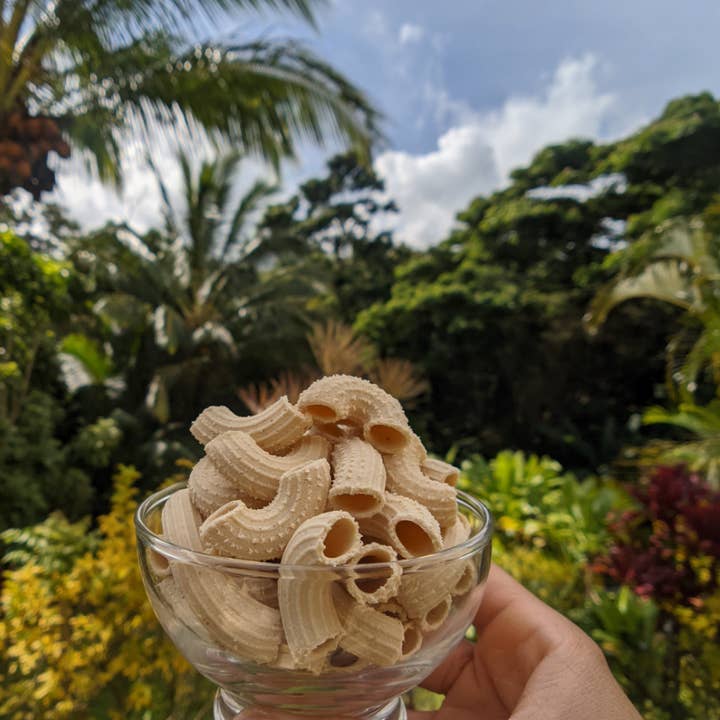 Classic 'Ulu Rigatoni for wholesale by Cozy Bowl