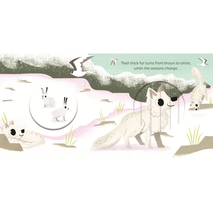 EDC Publishing - Wholesale Preschool Book (3-5) - Animal Magic: In the Snow2