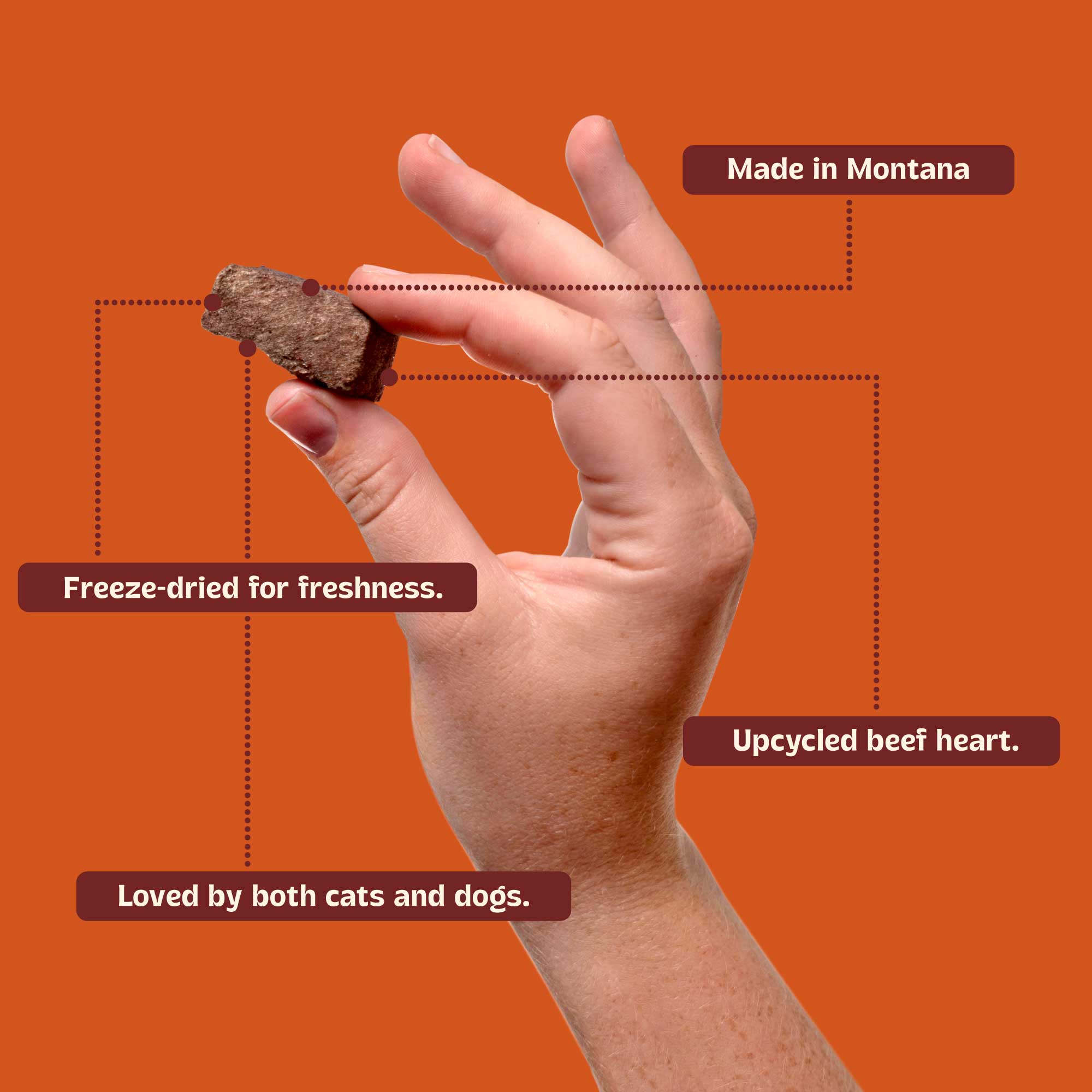 Bridger Bites, LLC - Wholesale Pet Treats - Dog - Freeze-Dried Beef Heart6