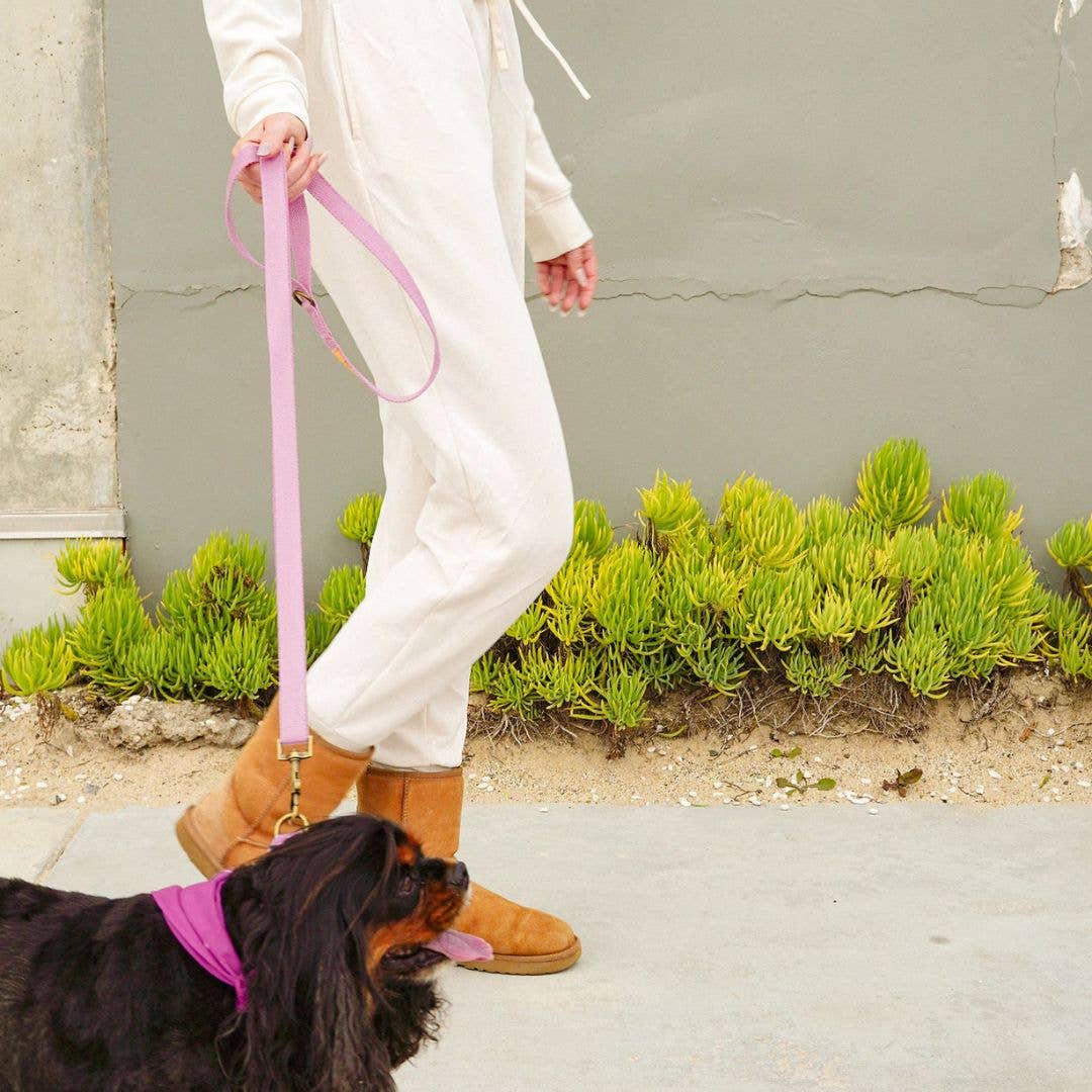 Tilley + Me - Wholesale Pet Leash - Dog - Hemp Cotton Dog Leash - Adjustable & Lightweight13