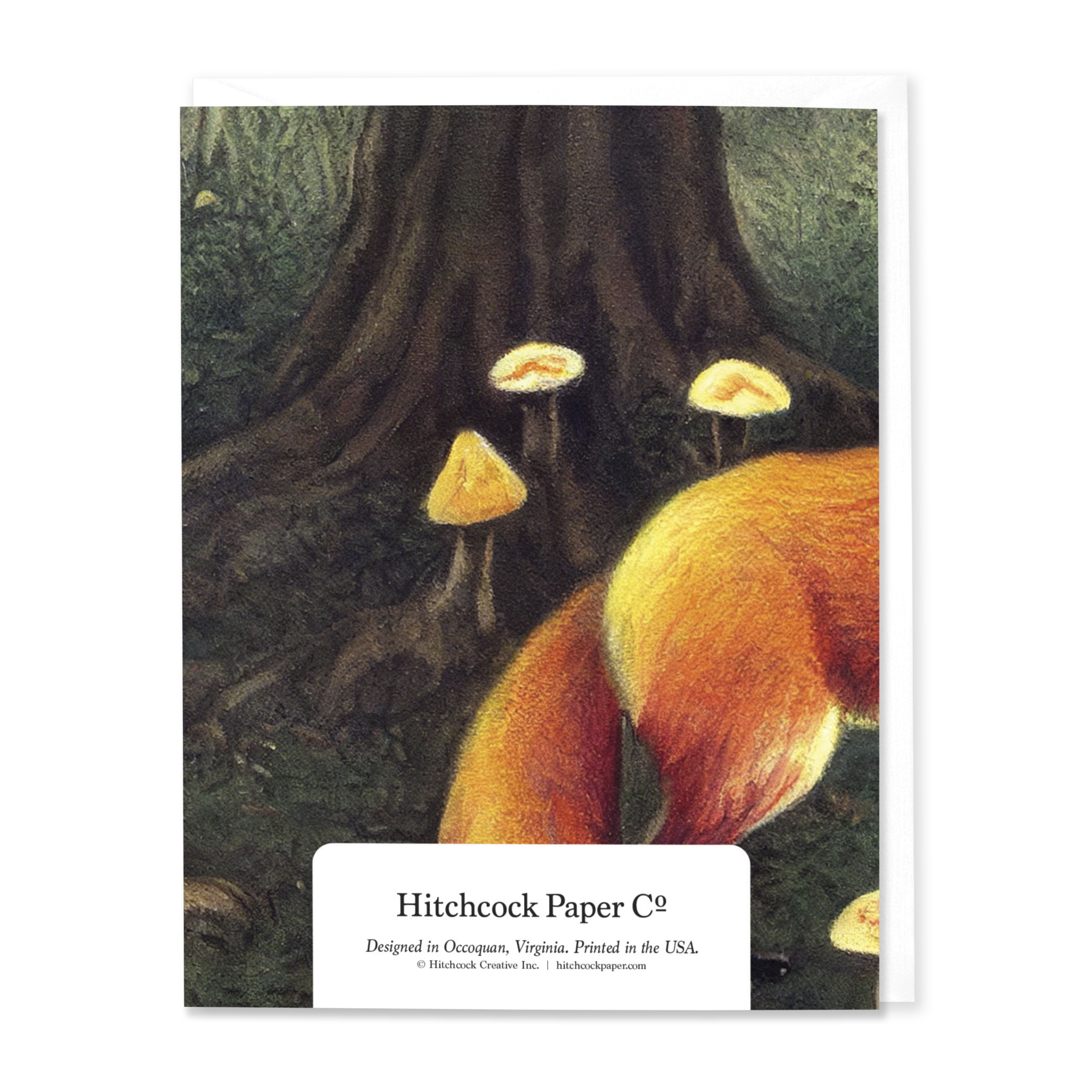 Hitchcock Paper Co. - Wholesale Everyday Greeting Card - Hey There Foxy1