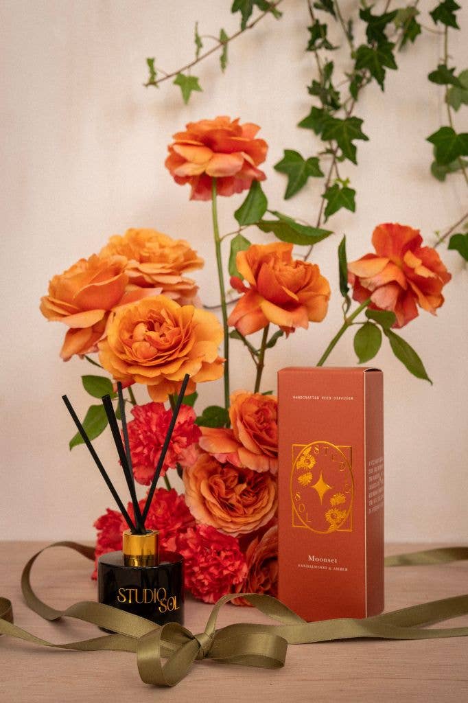 Studio Sol Store - Wholesale Reed diffuser - Moonset Diffuser  | Amber + Sandalwood1