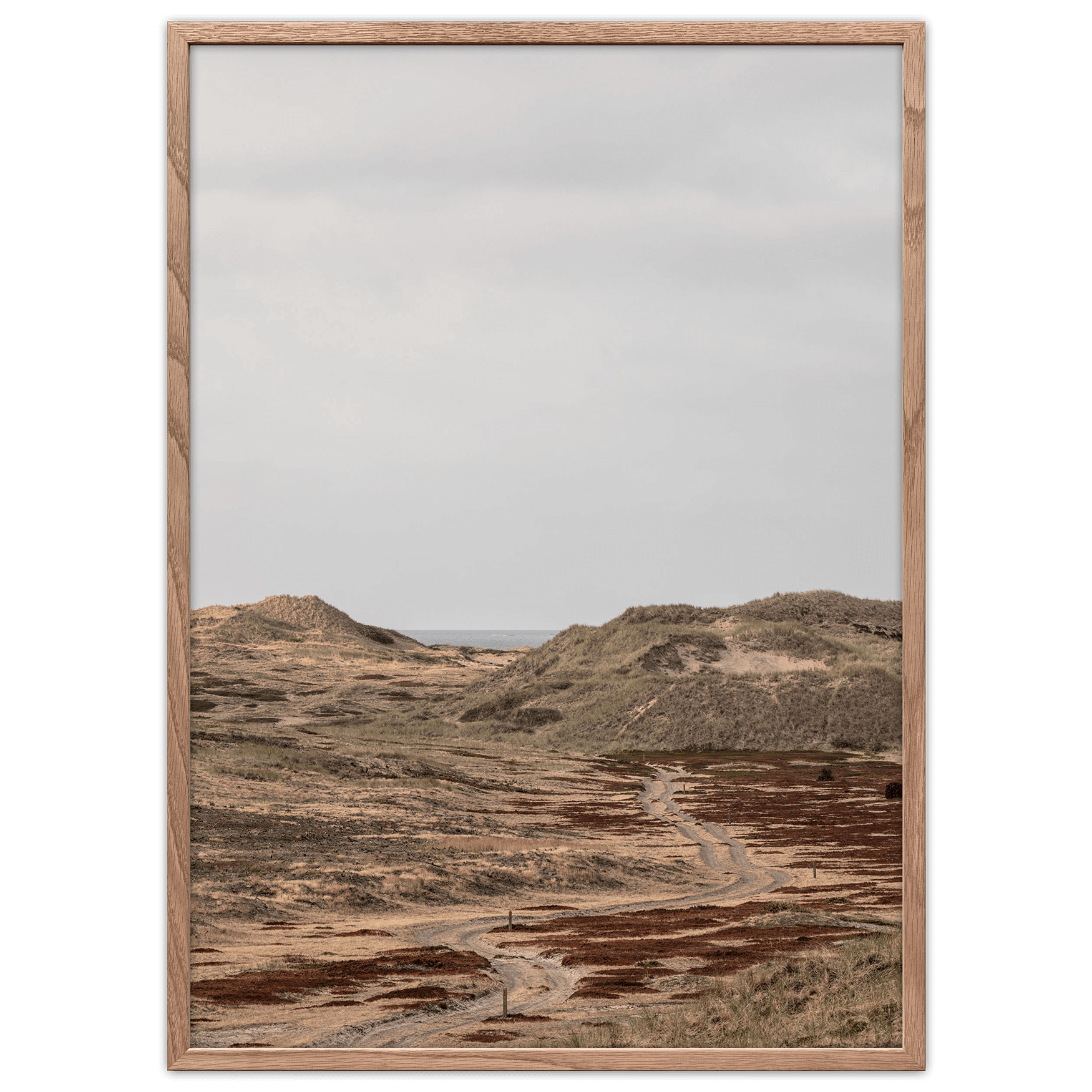 Foto Factory - Wholesale Art Print - The Desert0