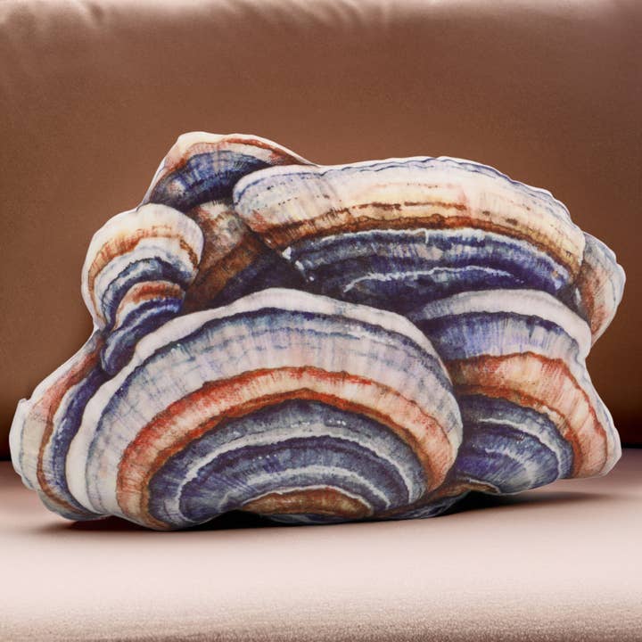 Realistisk kalkunhalesvampepude for engroshandel hos The Mushroom Muse