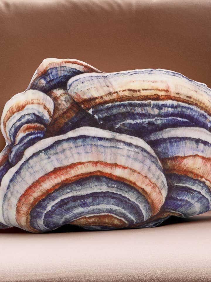 Realistisk kalkhalepude (lille) for engroshandel hos The Mushroom Muse