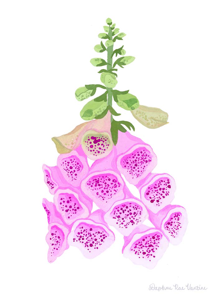 Foxglove Botanical Art Print – Cottagecore Floral Wall Decor for wholesale by Daphne Rae Creative