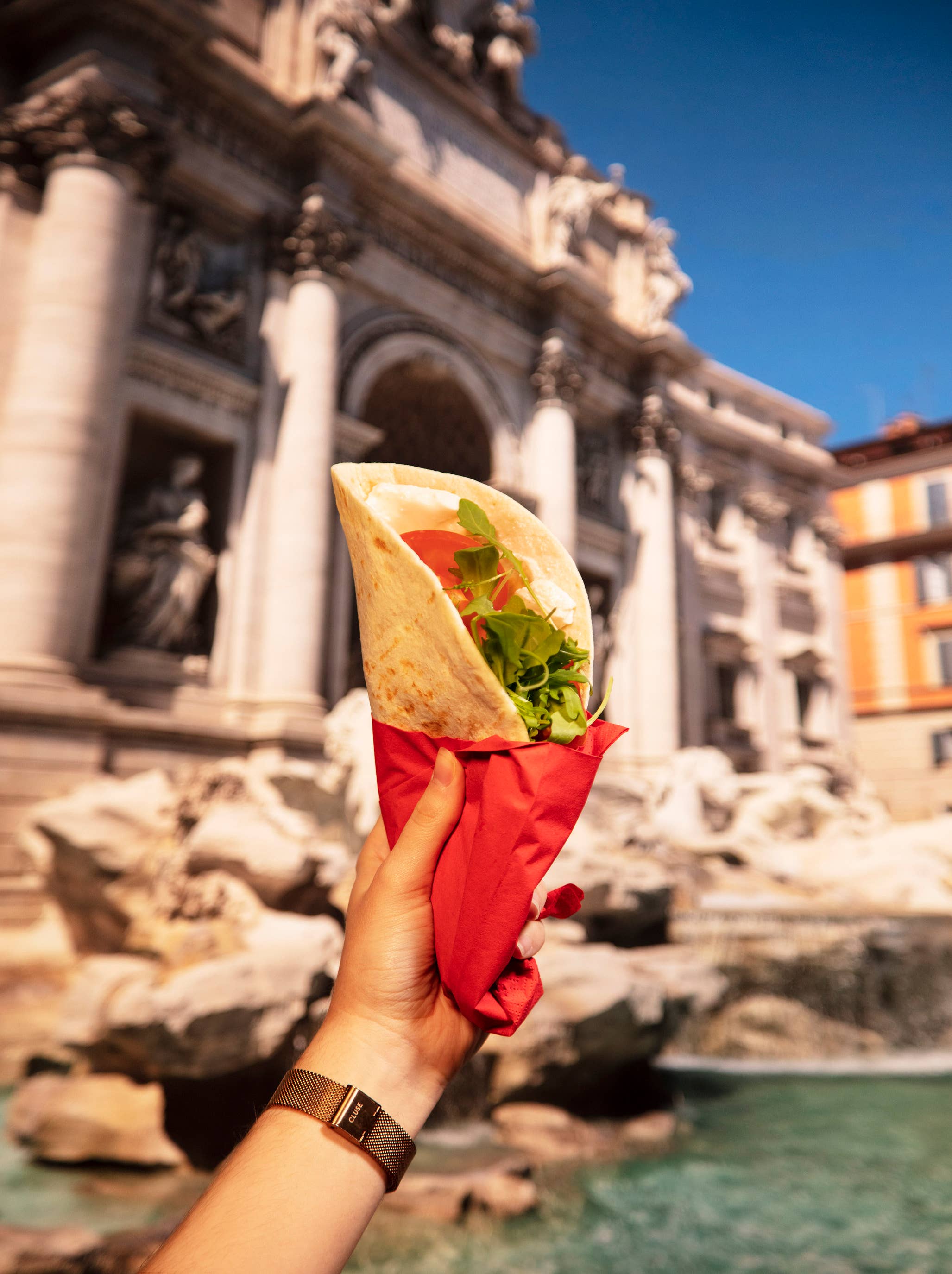 Fresco Piada USA - Wholesale Bread/Tortilla - Italian Flatbread Piadina | Traditional | No Preservatives2