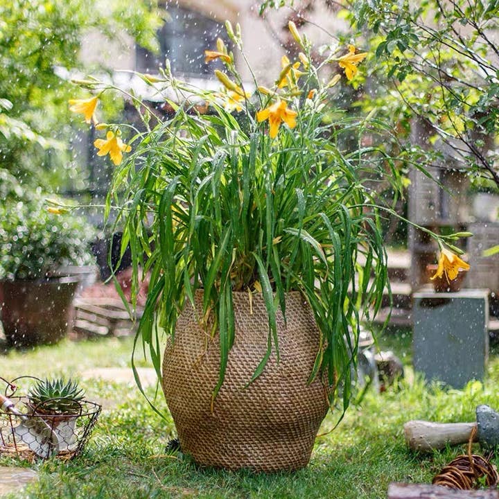 Rustic Reach - Wholesale Plant Pot - Large Basket Cement Pot Backyard Planter3