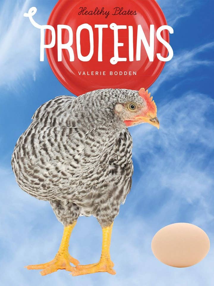 Healthy Plates: Proteins for wholesale by The Creative Company