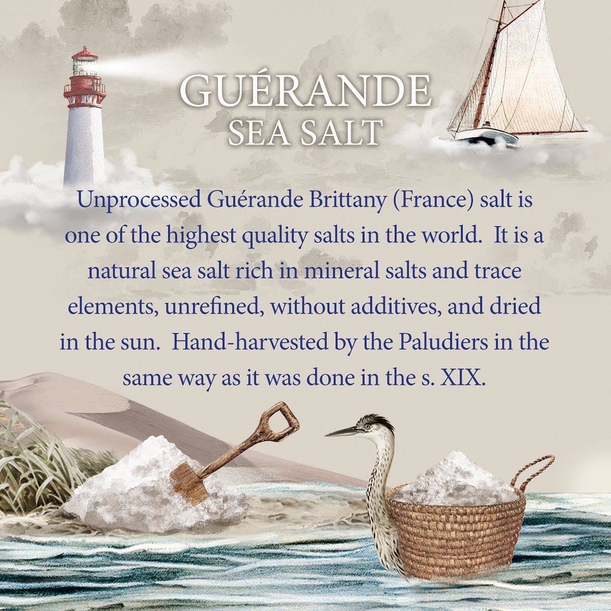 Lady Joseph – Crackers por atacado – Bolachas com Sal Marinho da Bretanha e Azeite (lanche de bolachas)7