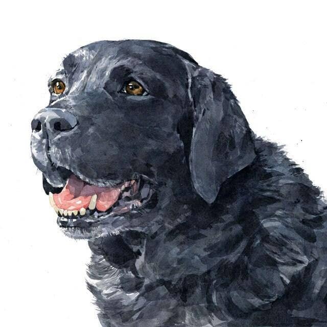 Studio Tuesday - Wholesale Art Print - Black Lab Dog Art Print, Labrador Retriever Watercolor3