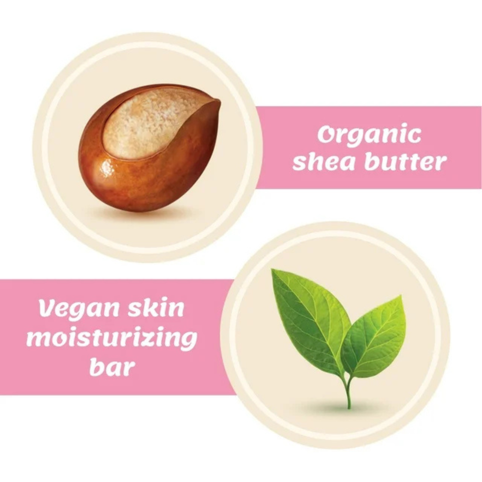 First Choice Buying - Vente Rasoir - Pack Varié de Rasoirs pour Femmes Schick Intuition – 1 Manche de Rasoir & 4 Recharges de Lames4