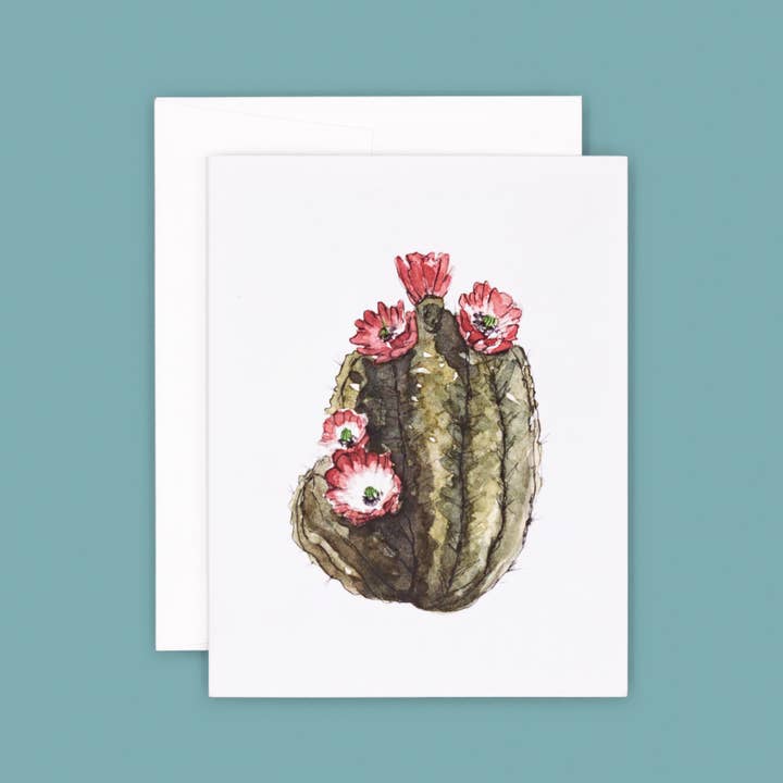 Claret Hedgehog Cactus Card for wholesale by Cacti Oasis©