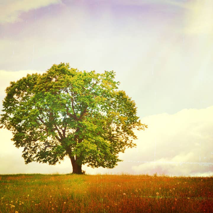 Falling Leaves III for wholesale by Nikita Fine Art Photography