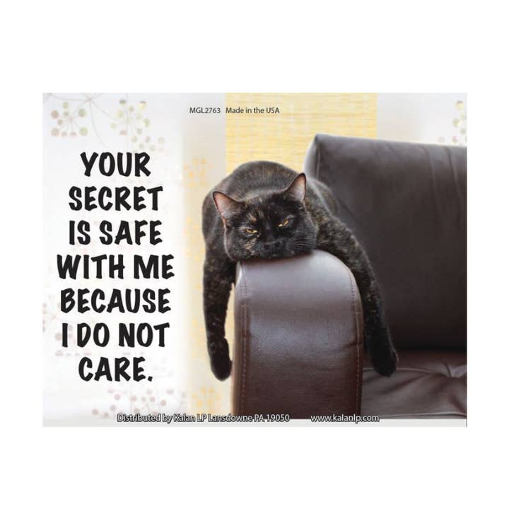 Your Secret Is Safe With Me Jumbo Magnet for wholesale by Kalan