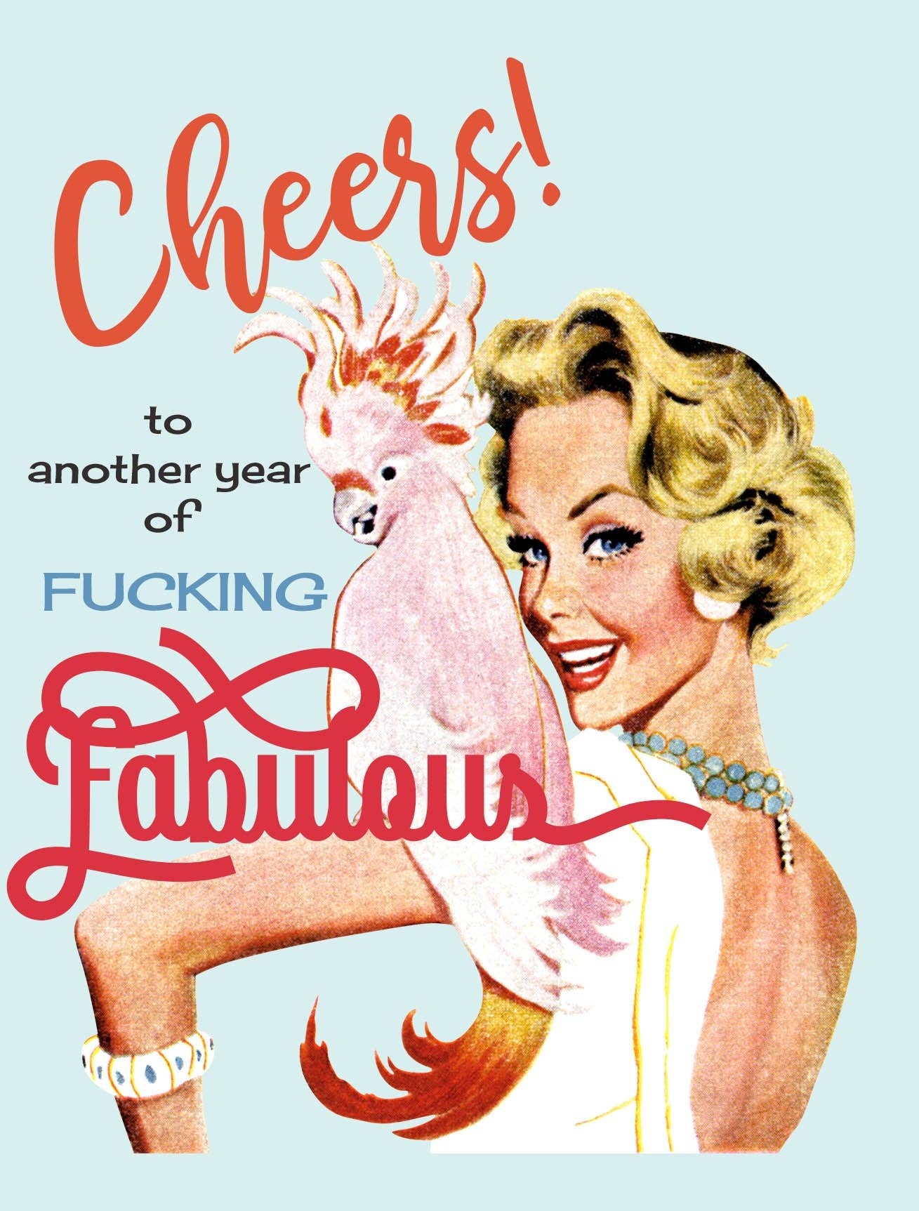 Mod Lounge Paper Company - Wholesale Birthday Card - Another Year of Fucking Fabulous Funny Birthday Card5